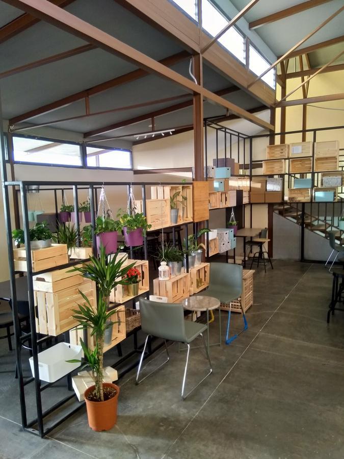 Beit Al Ward Villa Al Shafa Ngoại thất bức ảnh